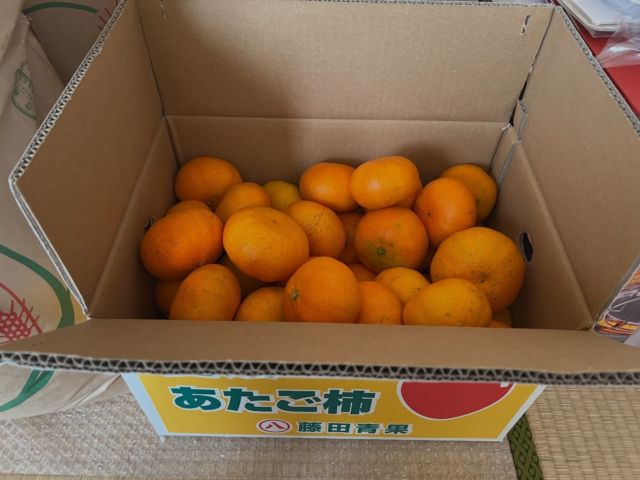 最近いただいたもの

甘平
お米

ありがたいですねーほんとに

感謝の毎日です。

#いただきもの
#プレゼント
#みかん
#甘平